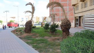 بالصور: تهيئة مساحة خضراء جديدة بالقرب من ماليزيا