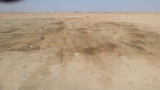 حمرية أكثر نظافة بعد عمليات تنظيف كبيرة+صور