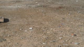 بالصور: تنظيف حرشة جمبير