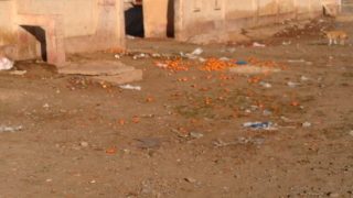 بالصور: حملة نظافة بالسوق الأسبوعي