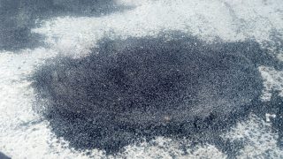 بالصور: ترميم وإصلاح حفر بطريق المارشي