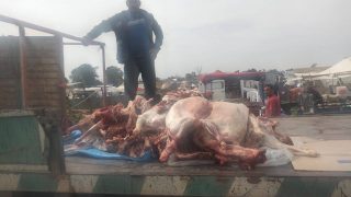 ضبط كمية كبيرة من اللحوم الفاسدة كانت موجهة للاستهلاك بالسوق الأسبوعي