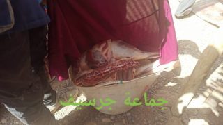 حجز وإتلاف 94 كلغ من اللحوم غير مطبوعة بالسوق الاسبوعي