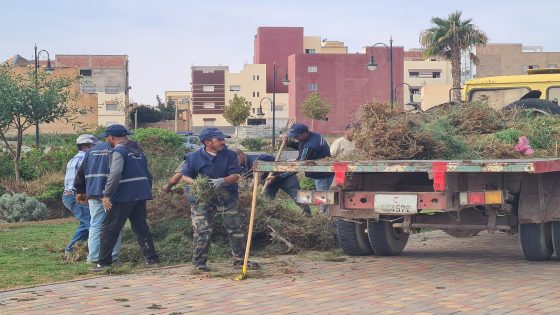 عملية واسعة للحفاظ على المساحات الخضراء بجرسيف